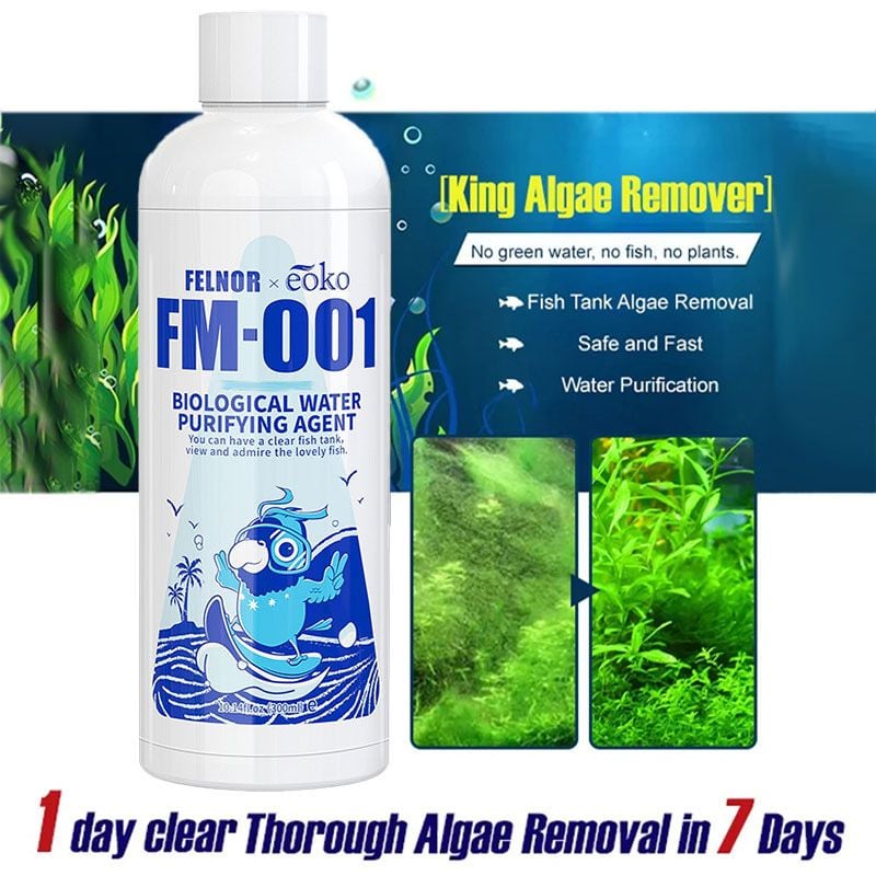 💧49% OFF - Fish Tank Water Purifier Algae Remover