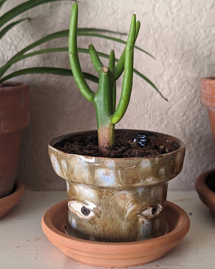 🔥Last Day 49% OFF - 💐😢Handmade Crying Flower Pot