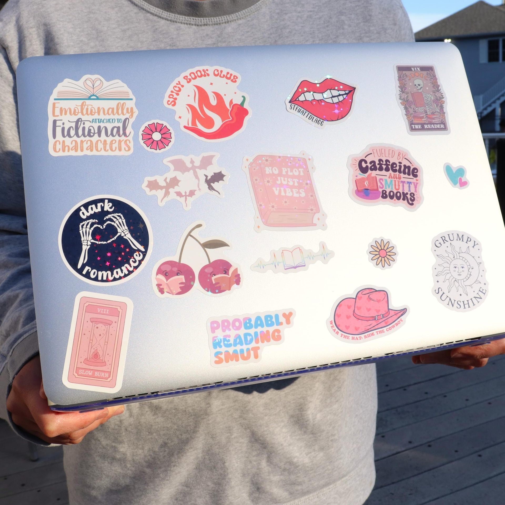 120 pcs Adults Prank Meme (Dirty) Book Stickers for Kindle, Laptop, Water Bottle, and More | Holographic & Waterproof